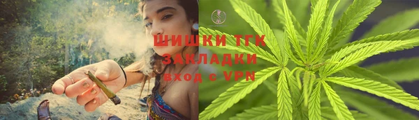 стафф Бородино