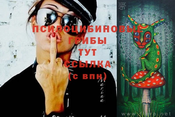 стафф Бородино