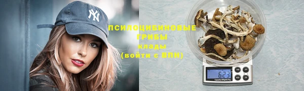 стафф Бородино
