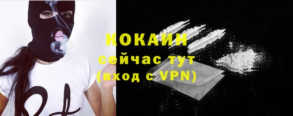 стафф Бородино