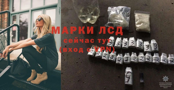 стафф Бородино
