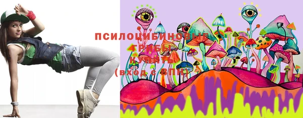 стафф Бородино