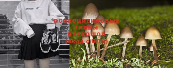 ECSTASY Бронницы
