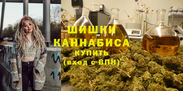 ECSTASY Бронницы
