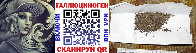 KRAKEN ССЫЛКА  Псков  Псилоцибиновые грибы GOLDEN TEACHER 